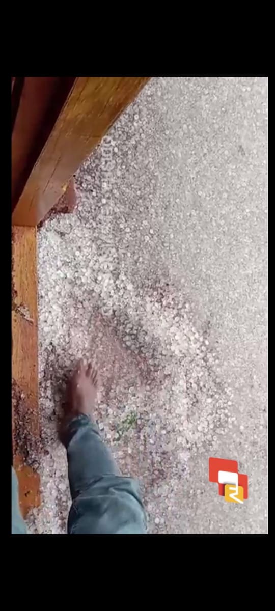 WhatsApp Image 2023-03-18 at 20.07.46