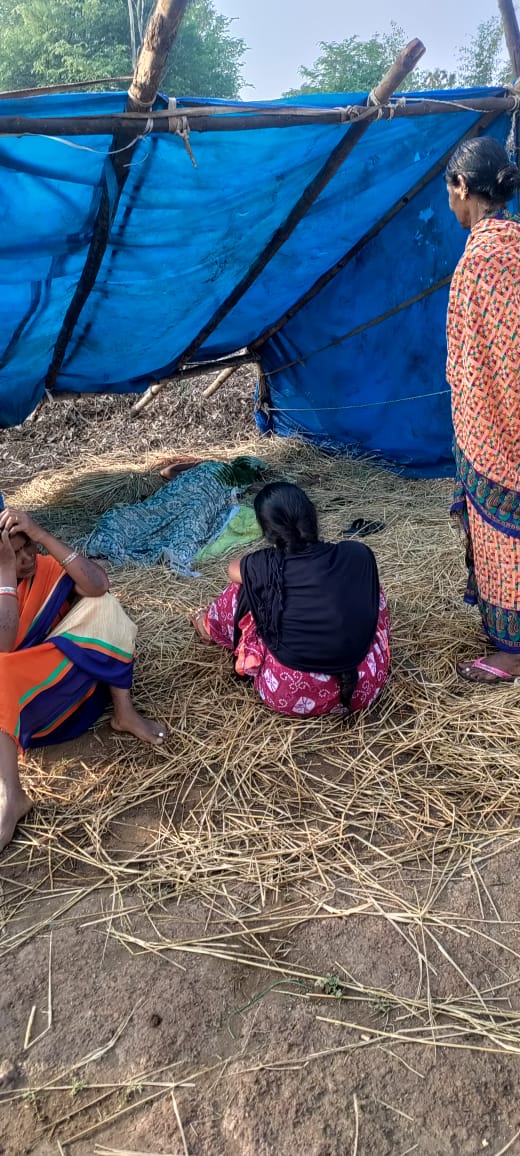 1cb9b1fc-bde7-4f45-8688-e697c3af75dc