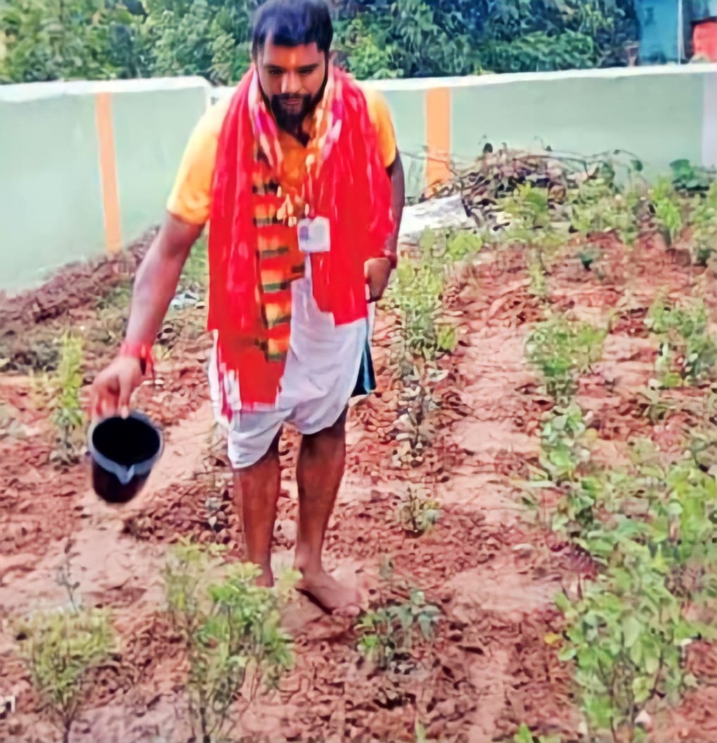 ae8c1f78-af3e-409b-bcbf-1f9e2e000940