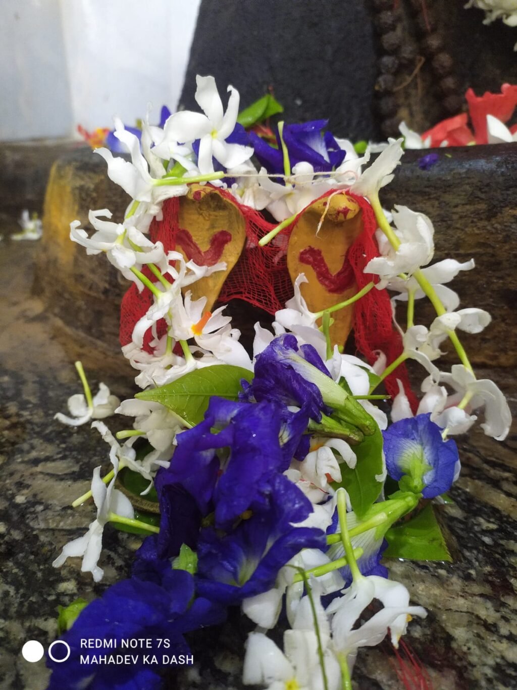 IMG-20241105-WA0026
