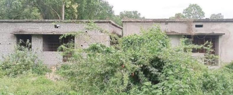 WhatsApp Image 2025-07-13 at 5.21.04 PM