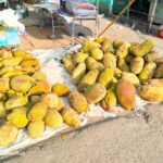 IMG-20260513-WA0052