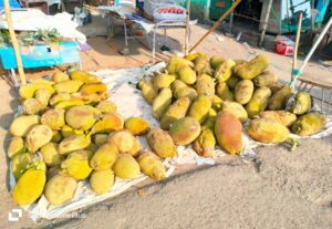 IMG-20260513-WA0052