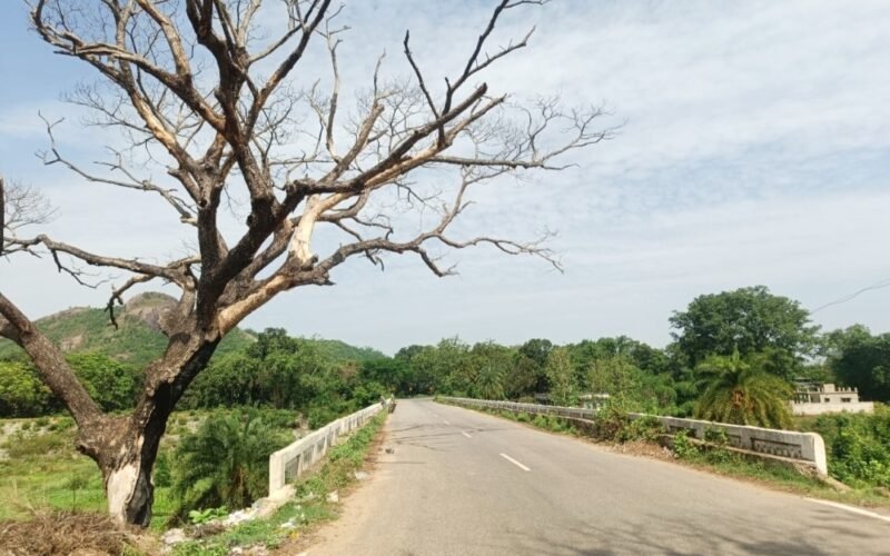 IMG-20260614-WA0031