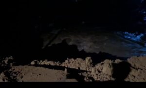IMG-20260814-WA0001