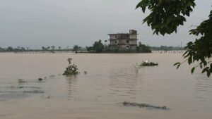 IMG-20260818-WA0000