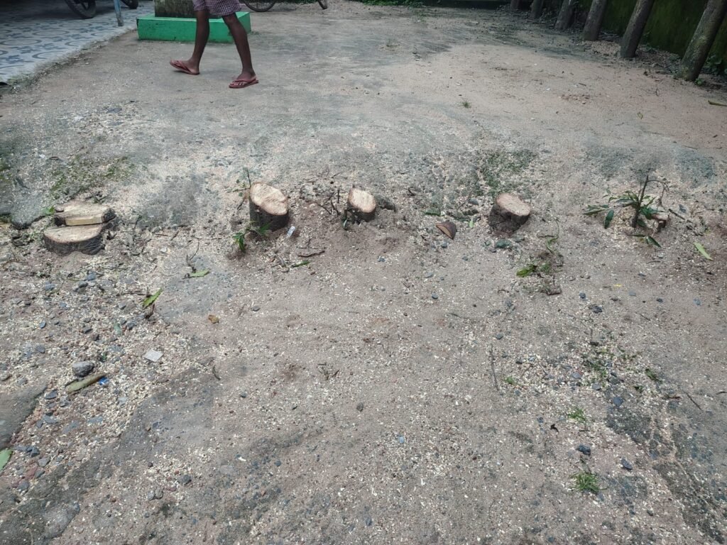 IMG-20260823-WA0037