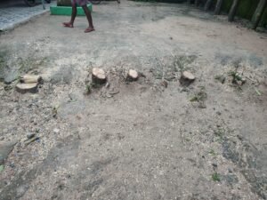 IMG-20260823-WA0037
